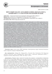 ВИРУСНЫЙ ГЕПАТИТ ДОМАШНИХ КОШЕК (HEPADNAVIRUS). НОВЫЙ ВИРУС В ЭТИОЛОГИИ ПОРАЖЕНИЙ ПЕЧЕНИ
