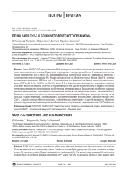 БЕЛКИ SARS CoV-2 И БЕЛКИ ЧЕЛОВЕЧЕСКОГО ОРГАНИЗМА