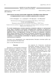 Длительные полевые испытания коррозии и биообрастания образцов из нержавеющей стали в условиях тропического климата