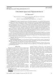 СОБЫТИЙНЫЙ ТУРИЗМ: ОПЫТ МУРМАНСКОЙ ОБЛАСТИ