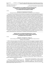 ПРОДУКТИВНОСТЬ РАСТЕНИЙ HYPERICUM PERFORATUM L. РАЗНОГО ГЕОГРАФИЧЕСКОГО ПРОИСХОЖДЕНИЯ В УСЛОВИЯХ ИНТРОДУКЦИИ НА СЕВЕРЕ