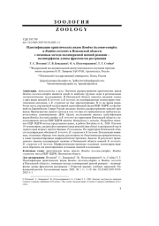 Идентификация криптических видов Bombus lucorum-complex и Bombus terrestris в Пензенской области с помощью метода полимеразной цепной реакции – полиморфизма длины фрагментов рестрикции
