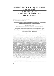 Характеристика устьичного аппарата вигны (Vigna unguiculata) при интродукции на юге Западной Сибири
