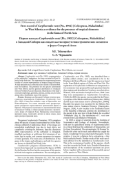 Первая находка Carphuroides rosti (Pic, 1902) (Coleoptera, Malachiidae) в Западной Сибири как свидетельство присутствия тропических элементов в фауне Северной Азии
