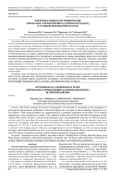 ОНТОГЕНЕЗ РЕДКОГО РАСТЕНИЯ РОССИИ CHEPHALARIALITVINOVII BOBROV (CAPRIFOLIACEAE JUSS.) В УСЛОВИЯХ ПЕНЗЕНСКОЙ ОБЛАСТИ