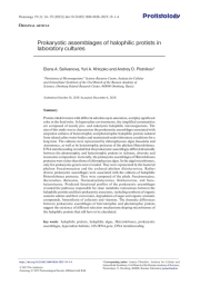 Prokaryotic assemblages of halophilic protists in laboratory cultures