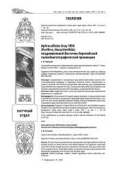 APHROCALLISTES GRAY 1858 (PORIFERA, HEXACTINELLIDA) ПОЗДНЕМЕЛОВОЙ ВОСТОЧНО-ЕВРОПЕЙСКОЙ ПАЛЕОБИОГЕОГРАФИЧЕСКОЙ ПРОВИНЦИИ