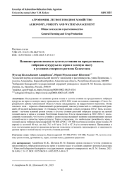 ВЛИЯНИЕ СРОКОВ ПОСЕВА И ГУСТОТЫ СТОЯНИЯ НА ПРОДУКТИВНОСТЬ ГИБРИДОВ КУКУРУЗЫ НА ЗЕРНО И ЗЕЛЕНУЮ МАССУ В УСЛОВИЯХ СЕВЕРНОГО РЕГИОНА КАЗАХСТАНА