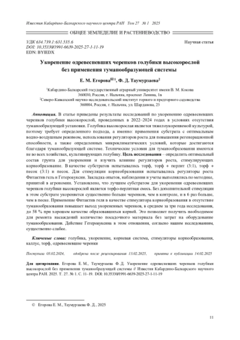 УКОРЕНЕНИЕ ОДРЕВЕСНЕВШИХ ЧЕРЕНКОВ ГОЛУБИКИ ВЫСОКОРОСЛОЙ БЕЗ ПРИМЕНЕНИЯ ТУМАНООБРАЗУЮЩЕЙ СИСТЕМЫ