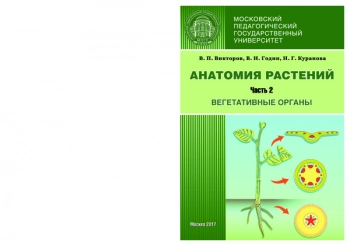 АНАТОМИЯ РАСТЕНИЙ. ЧАСТЬ 2. ВЕГЕТАТИВНЫЕ ОРГАНЫ