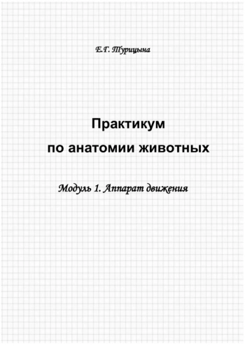 ПРАКТИКУМ ПО АНАТОМИИ ЖИВОТНЫХ

