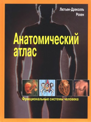  Анатомический Атлас. Функциональные системы человека.