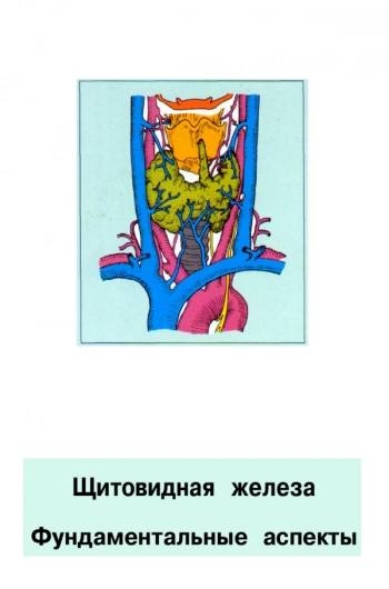 Щитовидная железа. Фундаментальные аспекты