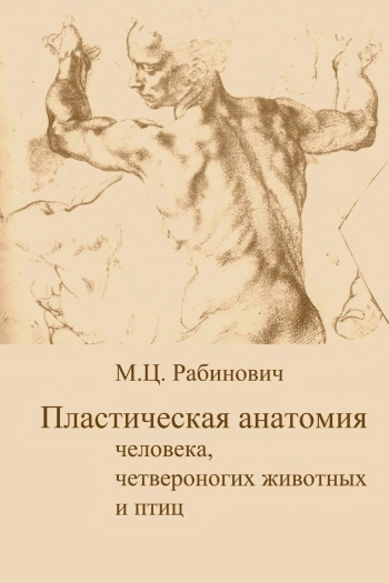 Пластическая анатомия человека, четвероногих животных и птиц и ее применение в рисунке, изд. 2