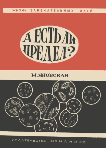 Жизнь замечательных идей. А есть ли предел?