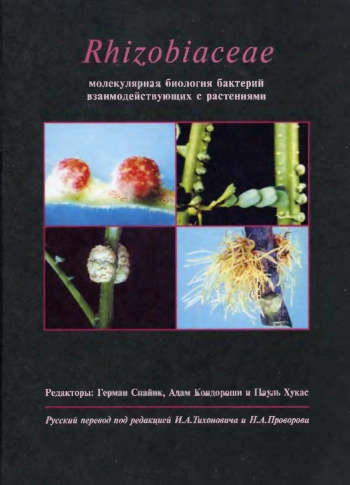 Rhizobiaceae