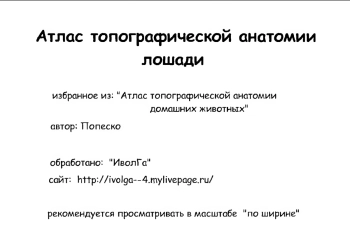 Атлас топографической анатомии лошади