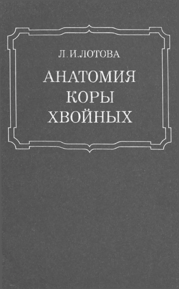 Анатомия коры хвойных