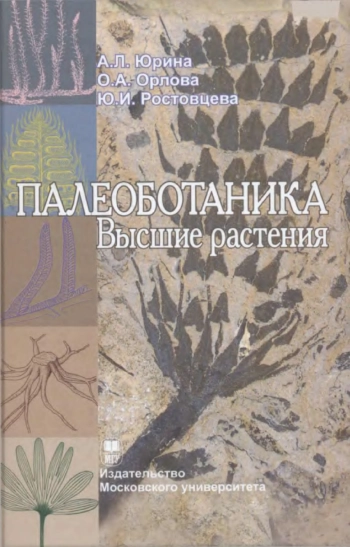 Палеоботаника. Высшие растения 