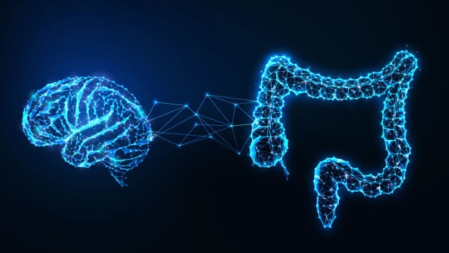 Кишечные бактерии влияют на регуляцию сна через фрагменты, проникающие в мозг